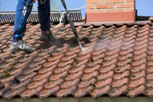 Roof prep edenvale