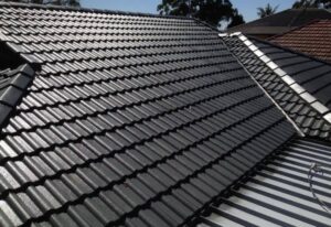 Roof Painting edenvale